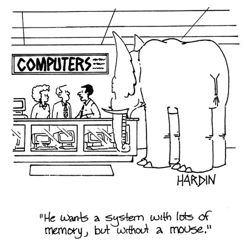 'He wants a system with lots of memory,but without a mouse.'