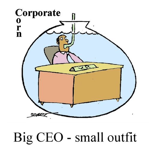 Big CEO- Small Outfit