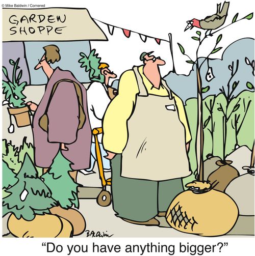Do you have anything bigger?