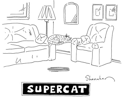 'Supercat.'