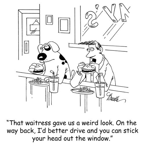 'The waitress gave us a weird look. On the way back, I'd better drive and you can stick your head out the window.'