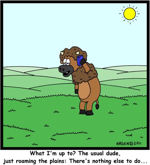 'What I'm up to? The usual dude, just roaming the plains: There's nothing else to do...'
