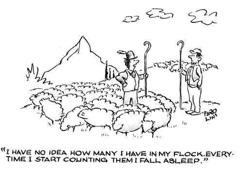 'I have no idea how many I have in my flock. Every time I start counting them I fall asleep.'