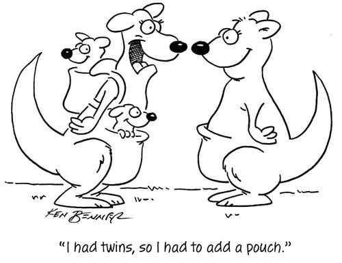 "I had twins, so I had to add a pouch."