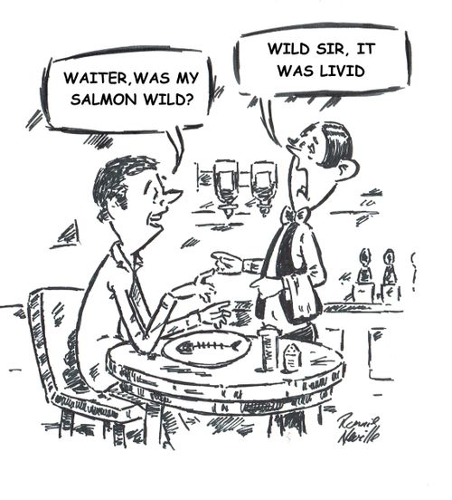 "Waiter, was my salmon wild?"