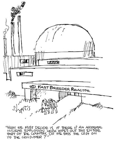 'What we must decide is if there is an accidental nuclear explosion which wipes out this entire part of the country, do we pass the cost on to the consumer?'