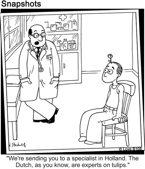 "We're sending you to a specialist in Holland. The Dutch, as you know, are experts on tulips."