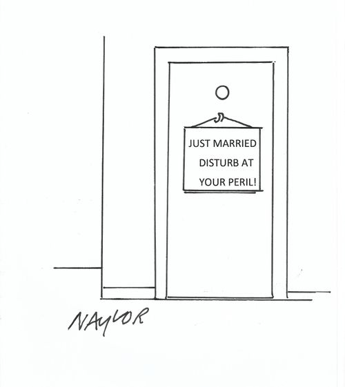 Just Married - Disturb At Your Peril!