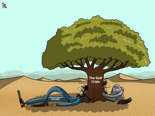 The Gulf Crisis