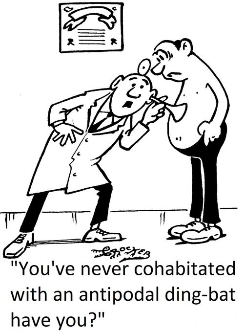 'You've never cohabitated with an antipodal ding bat have you?'