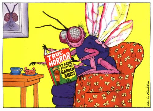 Fly reading a pulp horror book about insect spray