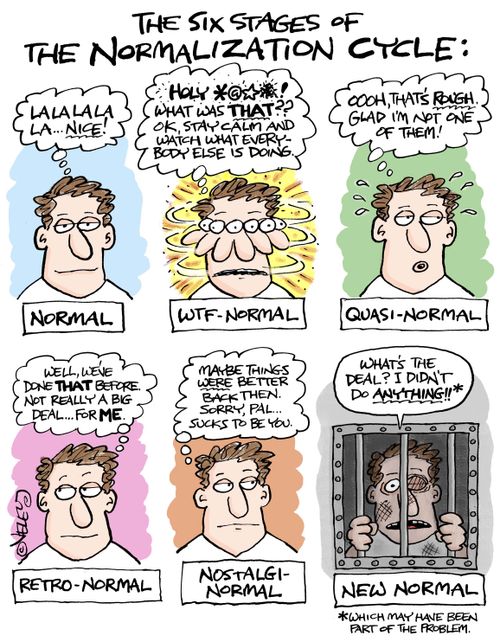 The Six Stages of the Normalization Cycle