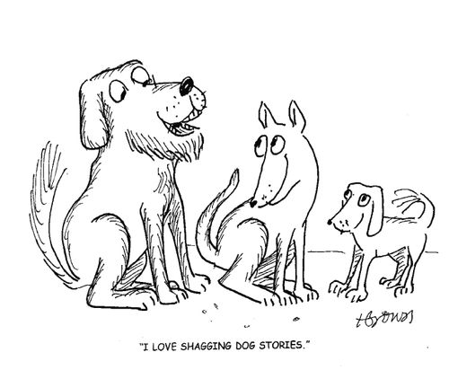 'I love shagging dog stories.'