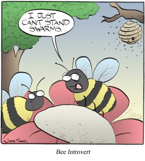 Bee Introvert
