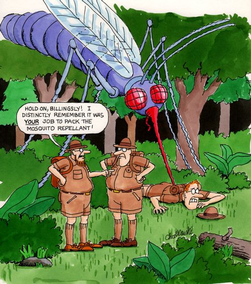 "Hold on, Billingsly! I distinctly remember it was your job to pack the mosquito repellent!"