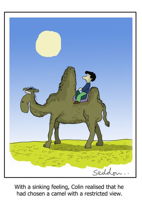 With a sinking feeling, Colin realised that he had chosen a camel with a restricted view.