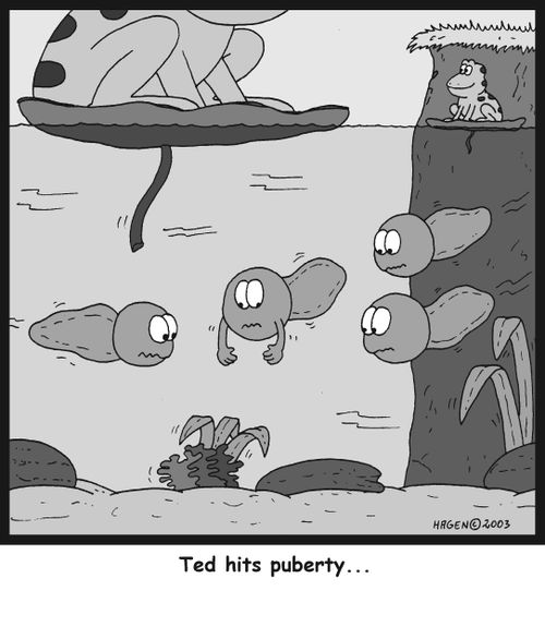 Ted hits puberty...