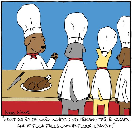 "First rules of chef school: no serving table scraps, and if food falls on the floor, leave it."