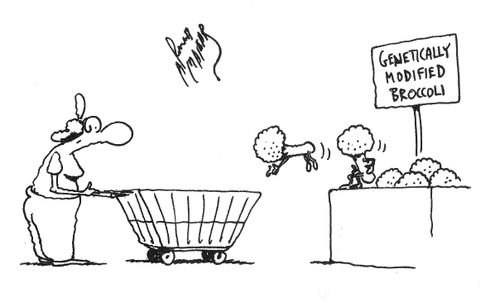 Genetically modified broccoli jumping into a trolley.