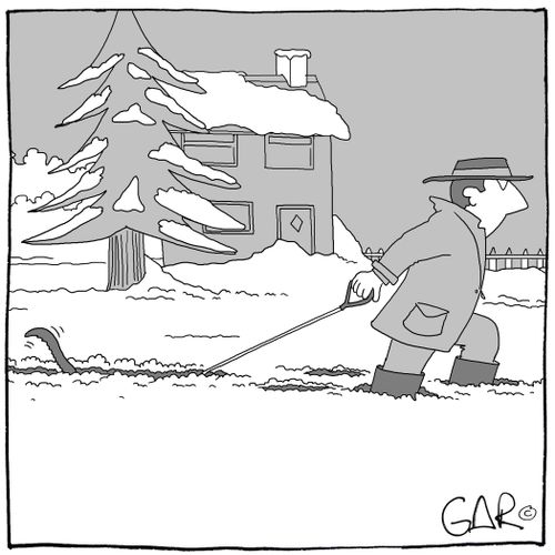 Walking the dog.