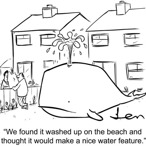 'We found it washed up on the beach and thought it would make a nice water feature.'