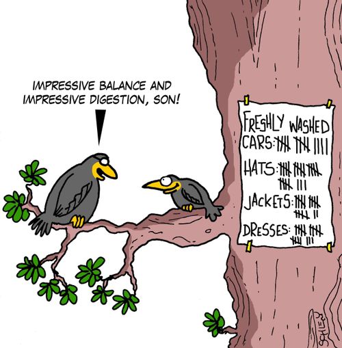 'Impressive balance and impressive digestion, son!'