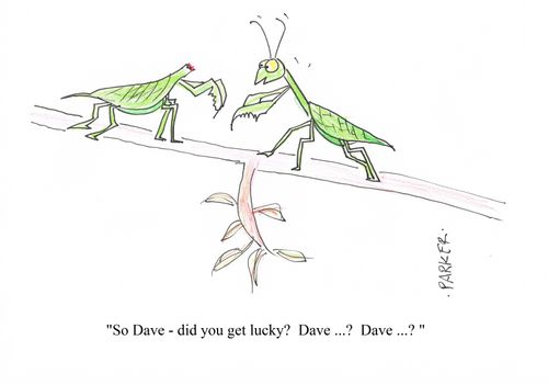 "So Dave - did you get lucky? Dave....? Dave...?"