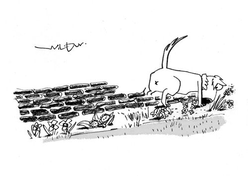 Dog Building Dog Poo Wall