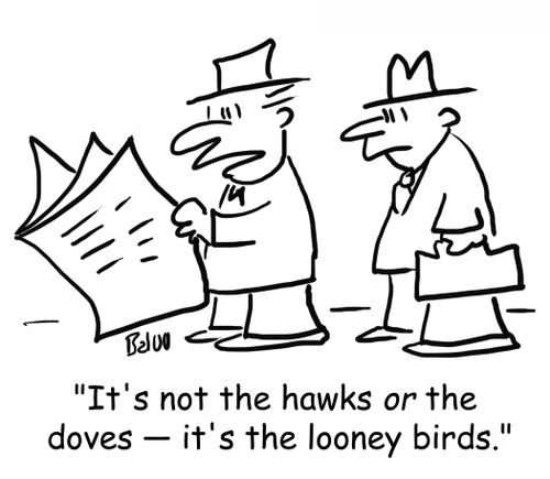 'It's not the hawks or the doves -- it's the looney birds.'