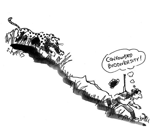 'Confounded biodiversity.'