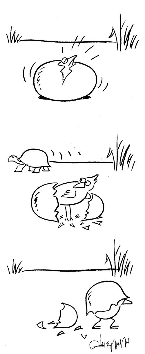 New born chick imitates a turtle with it's shell.