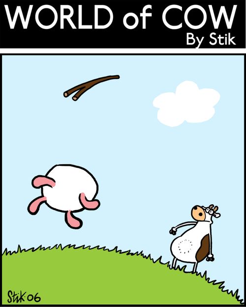 Cow plays fetch with udders.
