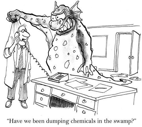 'Have we been dumping chemicals in the swamp?'
