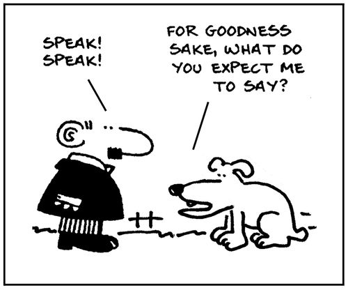 'For goodness sake, what do you expect me to say?'