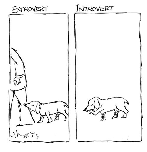 Extrovert/Introvert.