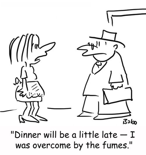 'Dinner will be a little late -- I was overcome by the fumes.'