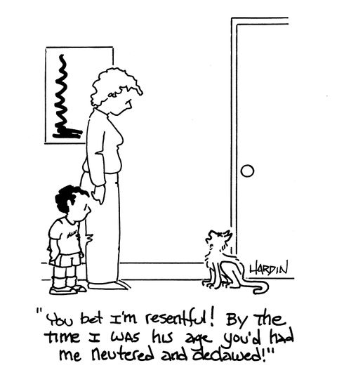 'You bet I'm resentful! By the time I was his age you'd had me neutered and declawed!'