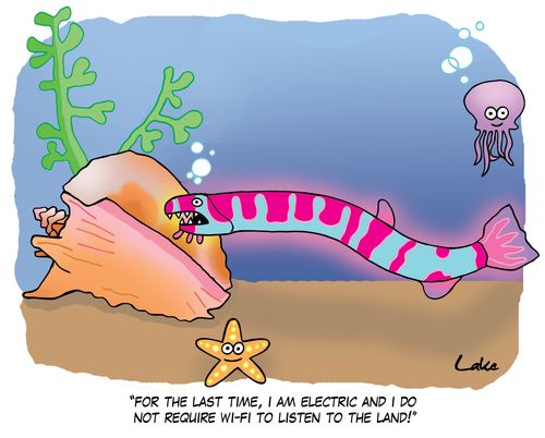 'For the last time, I am electric and I do not require wi-fi to listen to the land!'