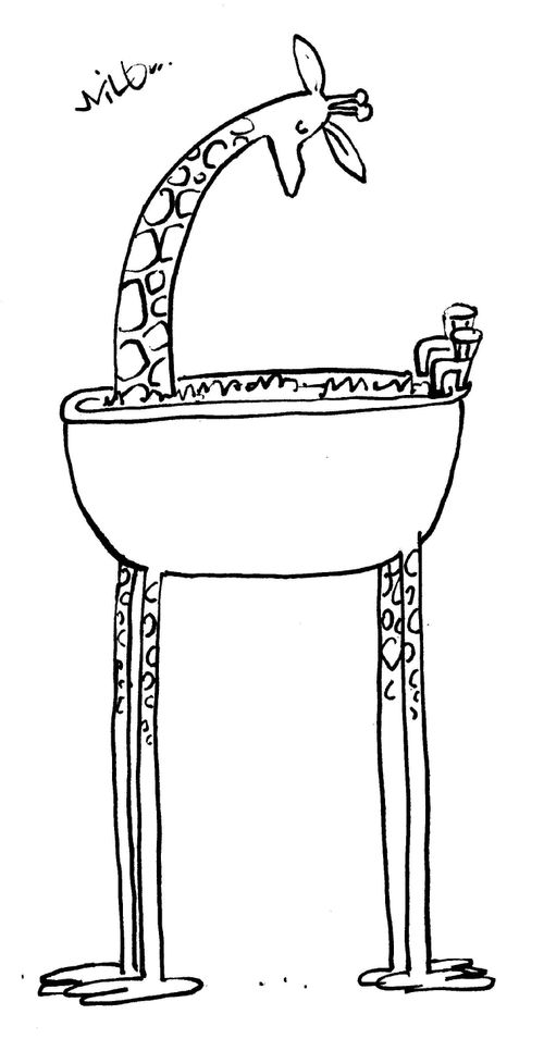 Giraffe bath.