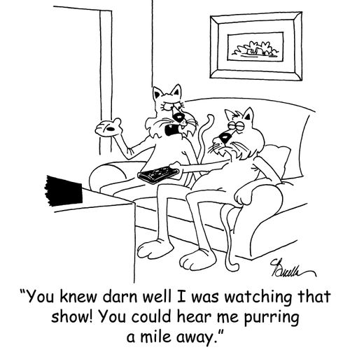 'You knew darn well I was watching that show! You could hear me purring a mile away.'