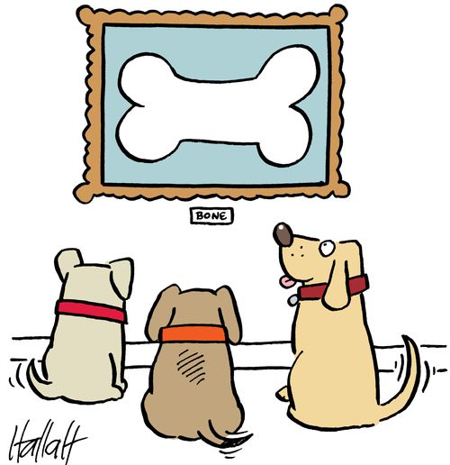 Three dogs look at a picture of a bone, with tails wagging.