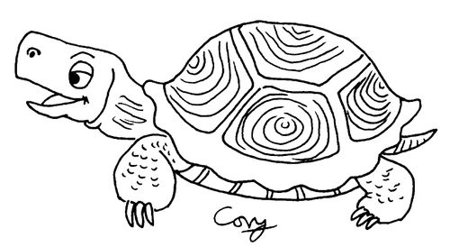 Turtle/tortoise