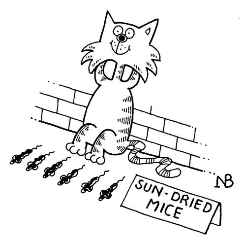 Sun Dried Mice
