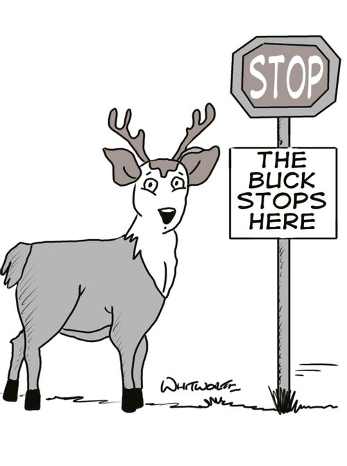 Buck Stops Here