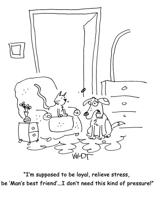 "I'm supposed to be loyal, relieve stress, be 'Man's best friend'...I don't need this kind of pressure!"