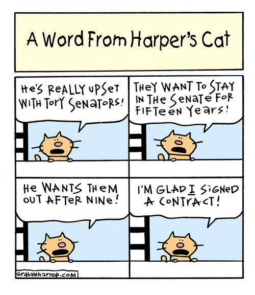 Harper's cat talks about the Senate