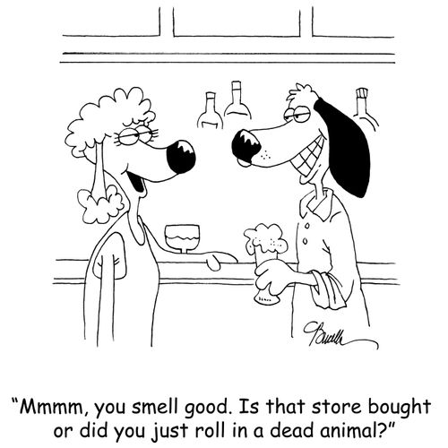 'Mmmm, you smell good. Is that store bought or did you just roll in a dead animal?'
