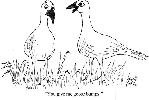 'You give me goose bumps!'