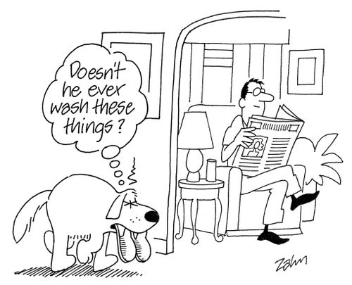 'Doesn't he ever wash these things?'
