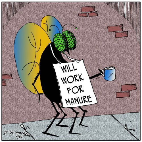Will work for manure.